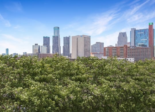 a view of the minneapolis skyline at The Pavilion, Detroit, MI, 48207