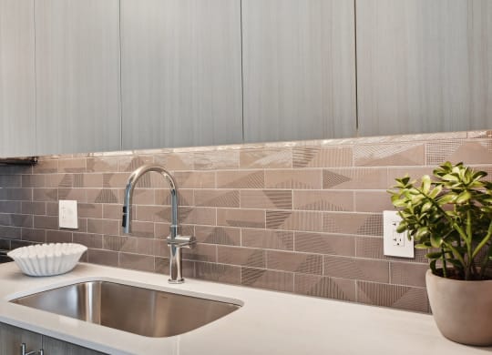 a kitchen with a sink and a plant at Cassidy on Canal, Chicago