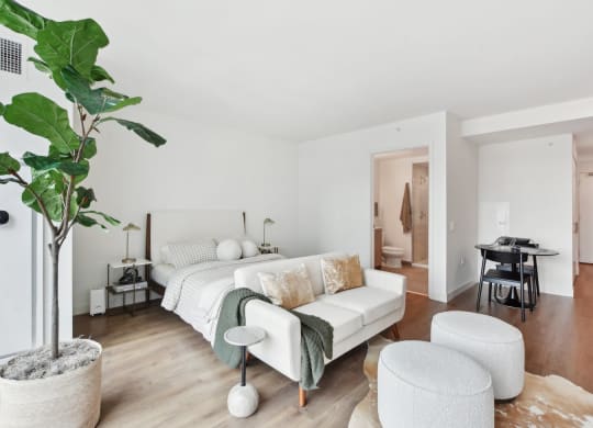 a bedroom with a couch and a bed and a large potted plant at Cassidy on Canal, Chicago, IL
