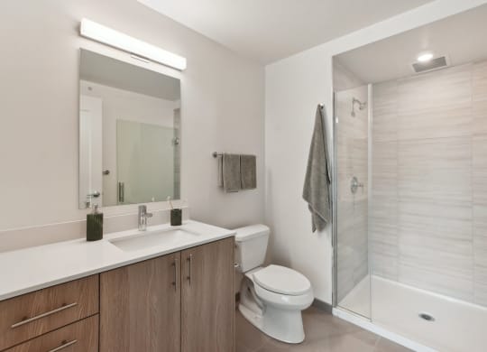 a bathroom with a shower toilet and sink and a mirror at Cassidy on Canal, Chicago, IL, 60654