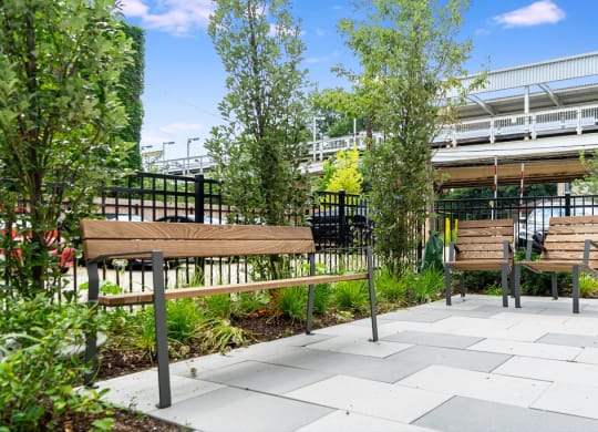 two benches and a table in a courtyard with trees