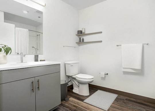 a bathroom with a toilet and a sink and a mirror