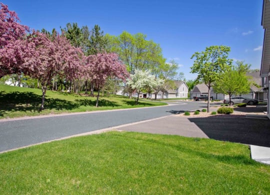 a street in a neighborhood with flowering trees at Seasons Villas, Woodbury, 55125