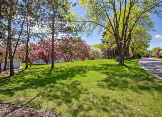 a park with green grass and trees and a road at Seasons Villas, Woodbury, MN