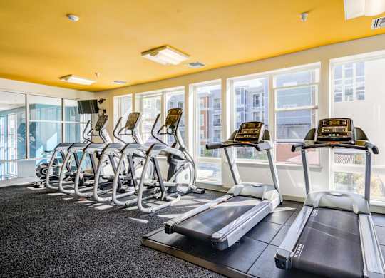 A gym with treadmills and exercise bikes.