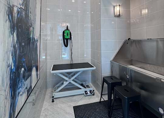 Pet spa at Views at Flowers, Clayton, NC, 27527