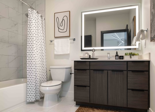 a bathroom with a toilet sink and bathtub in a 555 waverly unit  at 220 Meridian, Indianapolis