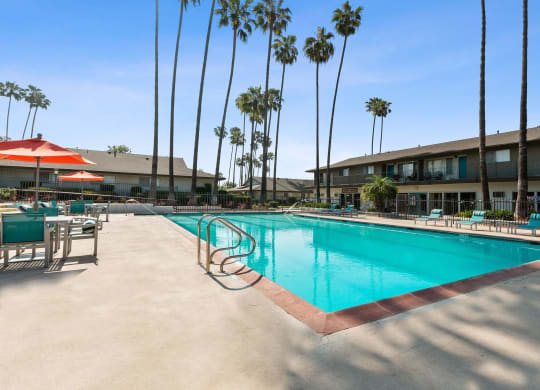 the swimming pool at our hotel in palm springs