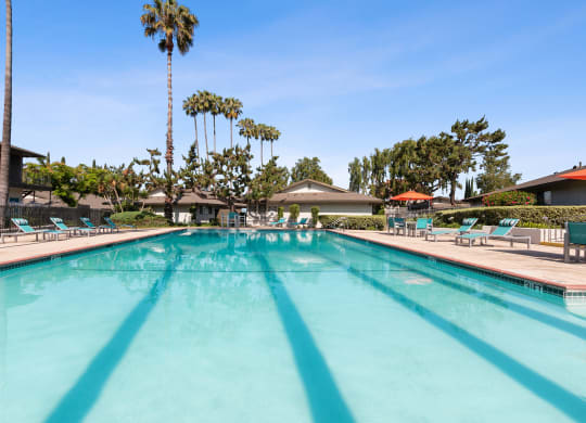 the swimming pool at the resort at longboat key club at Terramonte Apartment Homes, Pomona, 91767