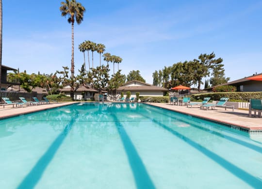Pool at Terramonte Apartment Homes, Pomona