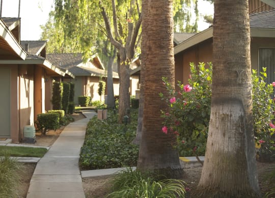 a row of houses with trees and a sidewalk at Terramonte Apartment Homes, California, 91767