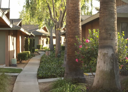 a row of houses with trees and a sidewalk at Terramonte Apartment Homes, California, 91767