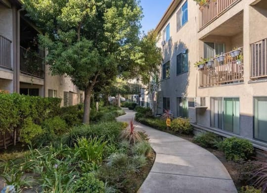 a sidewalk with trees and plants on either side at Mountainview Venture, Covina, CA 91722