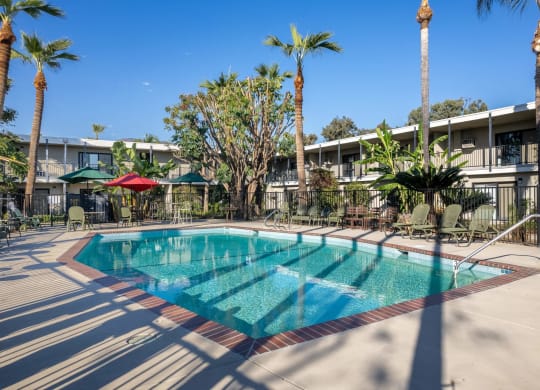 a swimming pool with palm trees and a building in the background at University Park, Azusa, CA 91702