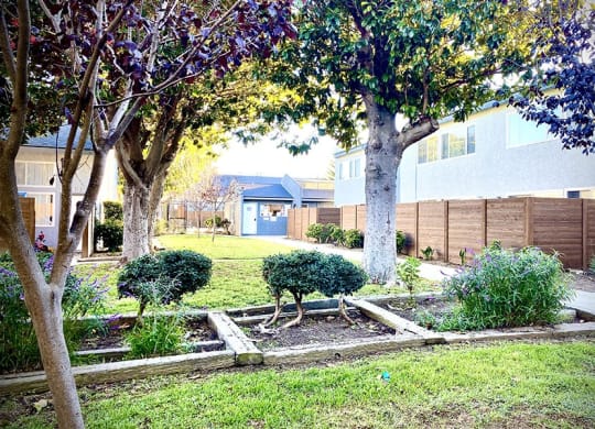 a garden with trees and shrubs in front of a house at Fiesta Apts, Lompoc, CA 93436