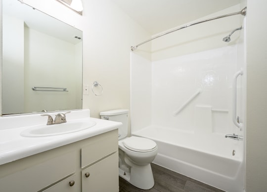 a bathroom with a bathtub toilet sink and mirror