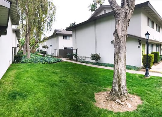 A grassy stretch in between two houses with a tree in front at Terramonte Apartment Homes, Pomona, CA