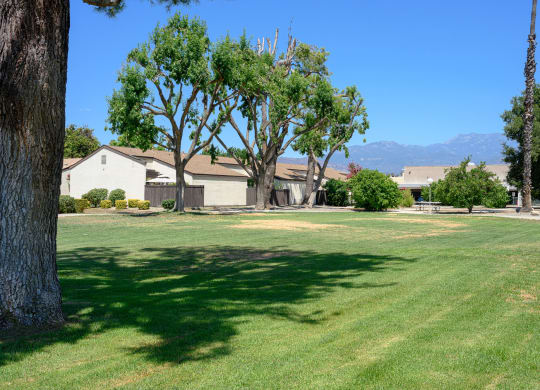 a large grassy area with a house in the background at Villa Hemet, Hemet, CA