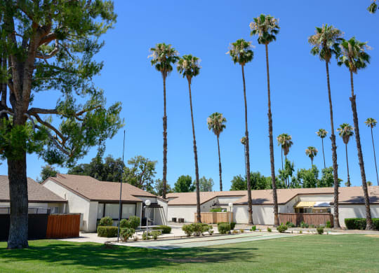 a row of houses with palm trees in the background at Villa Hemet, Hemet