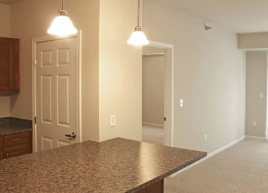 a view of the kitchen and living room
