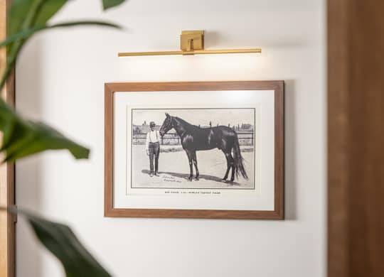 A framed black and white photo of a horse is hanging on a wall.