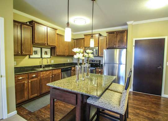 Kitchen at Victoria Park and V2 Apartments, Minnesota, 55102