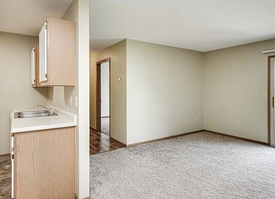 A kitchen area with a sink and a cabinet.
