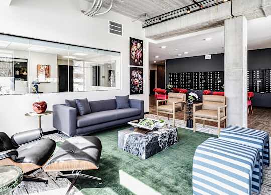 A living room with a grey sofa and a green rug.