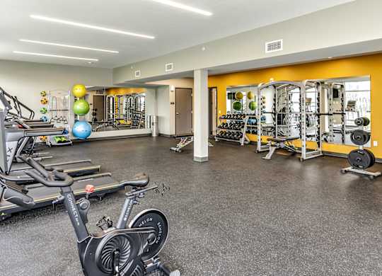 A gym with a variety of equipment including treadmills, weights, and exercise balls.