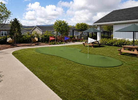 A green putting green in a backyard.