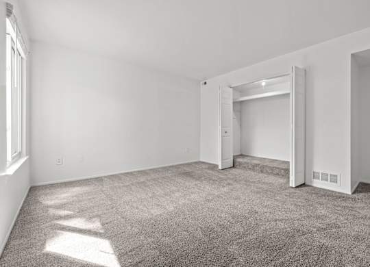 A room with white walls and carpeted floor with sunlight coming through a window.