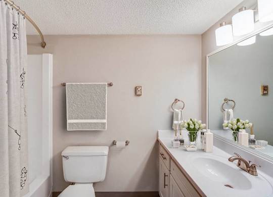 A white toilet sits next to a sink in a bathroom at The Waverly on the Lake - Belleville, MI Apartment , Michigan