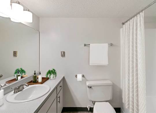 A white bathroom with a toilet, sink, and shower curtain at The Waverly on the Lake - Belleville, MI Apartment, Belleville, MI, 95050