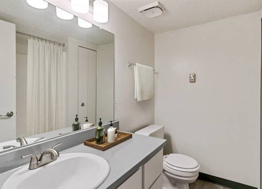 A white bathroom with a toilet, sink, and mirror at The Waverly on the Lake - Belleville, MI Apartment , Michigan, 95050