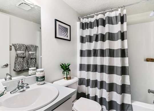 A bathroom with a striped shower curtain and a plant on the toilet at The Waverly on the Lake - Belleville, MI Apartment , Belleville, MI
