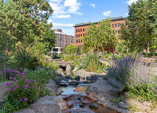A view of Lowertown Lofts from Mears Park in Lowertown Saint Paul, MN 55101