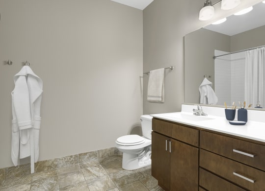 Bathroom With Storage Area at Kellogg Square, Minnesota