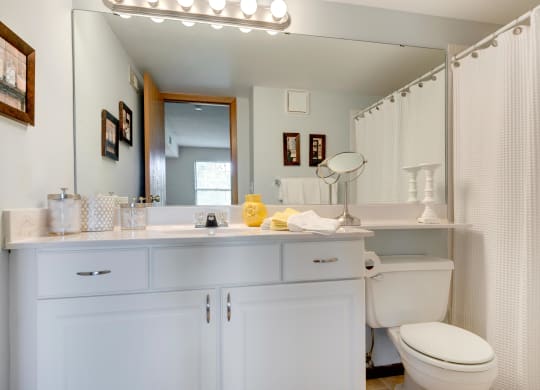 Bathroom With Vanity Lights at Mallard Ridge, Maple Grove