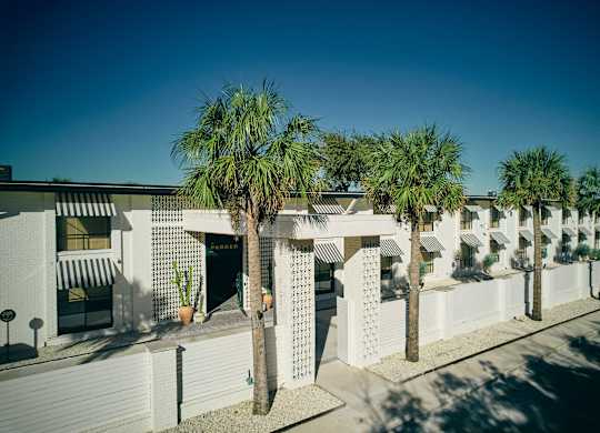 A row of white buildings with palm trees in front at The PARKER on E Mulberry Apartments, San Antonio, TX