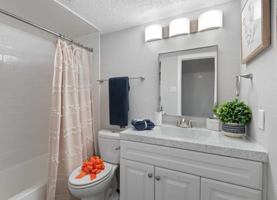 a bathroom with a sink and a toilet and a shower at District 2308, Texas ?