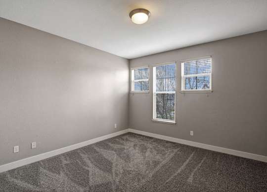 A room with a grey carpet and a window with blinds.