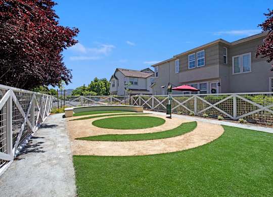 Saratoga Downs Dog Park