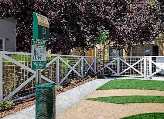 Saratoga Downs Dog Park