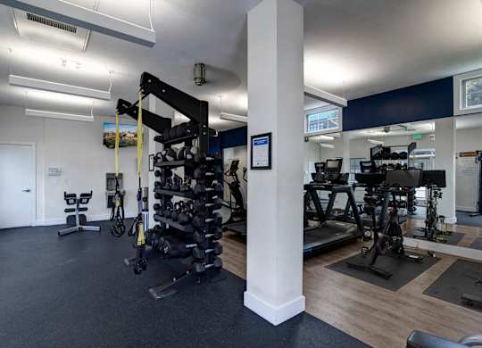 A gym with a variety of equipment including a rowing machine.