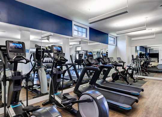 A gym with treadmills and elliptical machines.