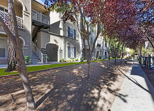 A tree with red leaves stands in the middle of a sidewalk.