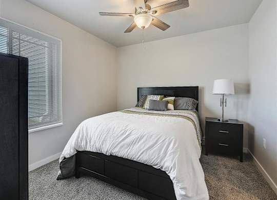 Primary Bedroom with Large Window