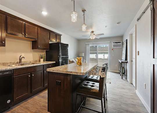 Open Concept Kitchen and Living