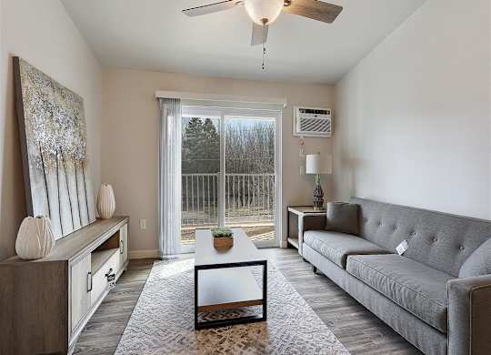 Living Area with Beautiful Natural Light