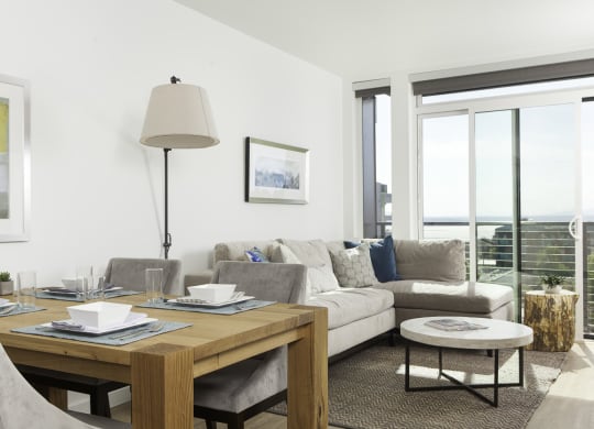 4730 California Apartments Model Living Room and Window